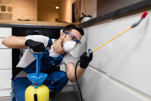 Best Rat Extermination Near Me  in Bowling Green, MD