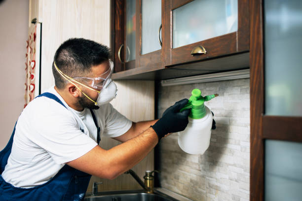 Best Mosquito Control Services  in Bowling Green, MD