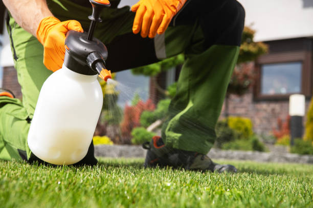 Bird Control in Bowling Green, MD