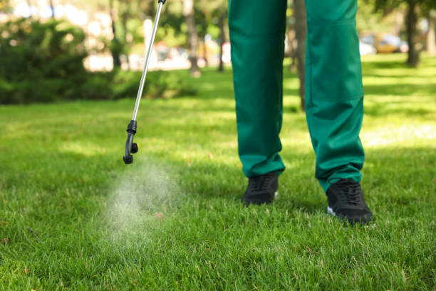 Best Spider Control Near Me  in Bowling Green, MD