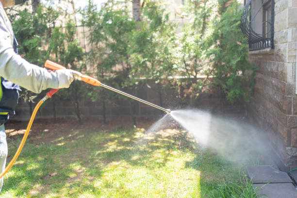 Best Local Pest Control Services  in Bowling Green, MD