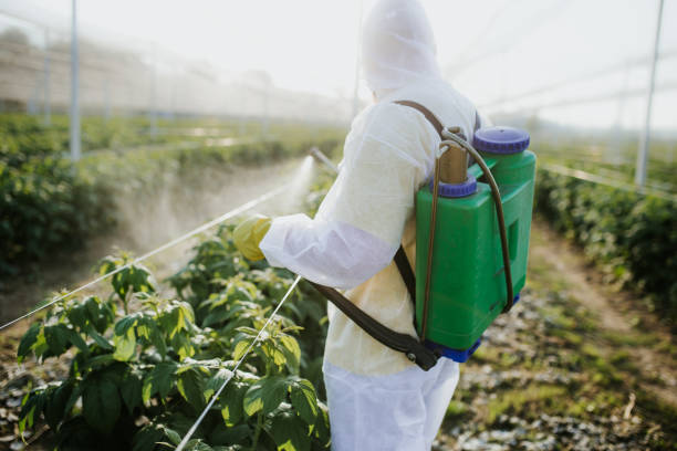 Best Flea Control Services  in Bowling Green, MD